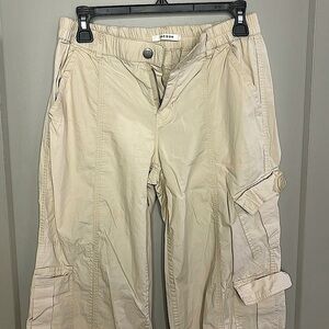 pacsun cargo pants